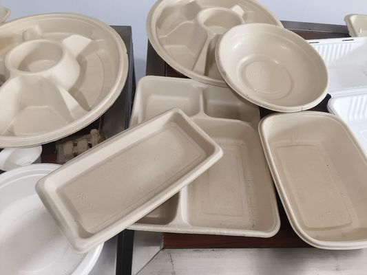  Sistema automatizzato di verniciatura a spruzzo per polpa stampata | Rivestimento interno di precisione