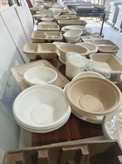 Versatile Spin Coater Pulp Molding For Food Packaging Oil And Leakage Proof UV Coating Machine (Motore di rivestimento UV a prova di perdite)
