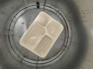 Linea di produzione di rivestimento interno a velocità elevata per il stampaggio della pasta da pasta