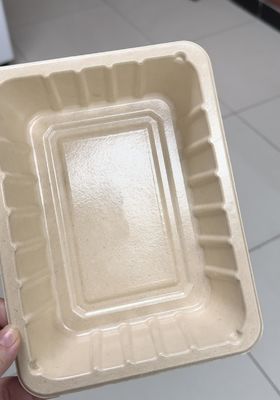 Linea interna di rivestimento a centrifugazione per prodotti di stampaggio della polpa - Macchina di rivestimento di precisione completamente automatica