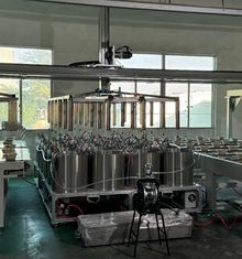 Linea di produzione di rivestimento interno a velocità elevata per il stampaggio della pasta da pasta