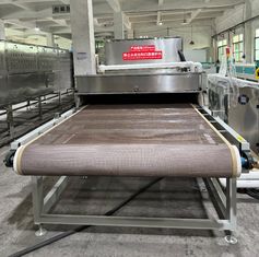 Linea di essiccazione e sterilizzazione a microonde ad alta precisione per alimenti | Progettata su misura per qualità ed efficienza