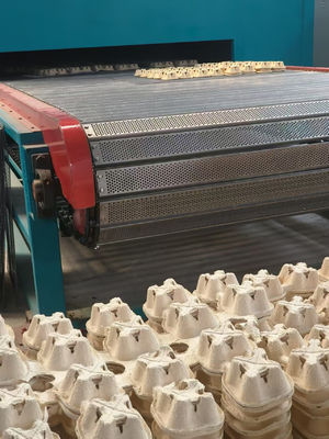 Forno essiccatore a gas naturale a doppio piano ad alta capacità per stampaggio di polpa industriale