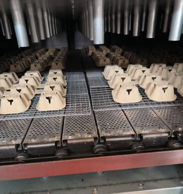 Forno essiccatore a gas naturale a doppio piano ad alta capacità per stampaggio di polpa industriale