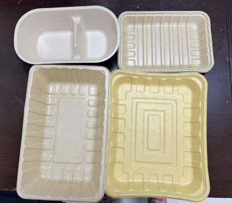 Precision Barrier Coating Line for Pulp Molded Products - Ultra-Low WVTR & OTR Coating Application