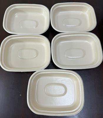 Prototipatore a spin coating a doppia stazione a emissioni zero per stoviglie a base vegetale - Soluzione a emissioni zero per piatti, ciotole e vassoi per carne