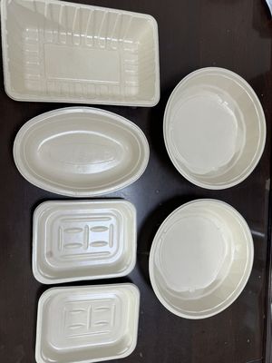 Linea di rivestimento a rotazione completamente automatica per interni di prodotti di pasta stampata. Per un rivestimento efficace resistente all'acqua e all'olio su contenitori e vassoi alimentari.