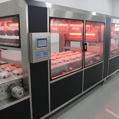 Essiccatore a infrarossi ad alta velocità ed efficiente dal punto di vista energetico da 2,2 M per rivestimento superficiale di polpa stampata