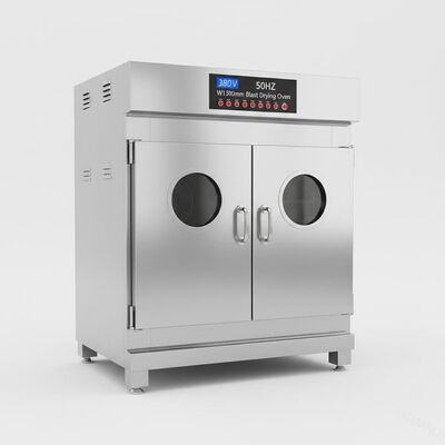 porta Constant Temperature Oven, forno di 380V 50HZ due di essiccazione di scoppio di W1300Mm