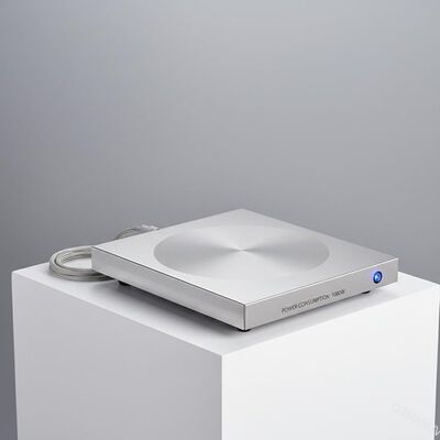 Tavola in acciaio inossidabile con consumo di energia e consumo di 1000W