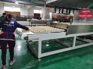ISO9001 apparecchiature di asciugatura a microonde 35kVA asciugatrice a microonde industriale