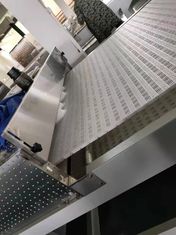 Equipaggiamento di asciugatura continua a microonde per erbe e frutta.