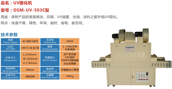 Sistema di cura del consumo di energia da 1000 W con controllo PLC professionale