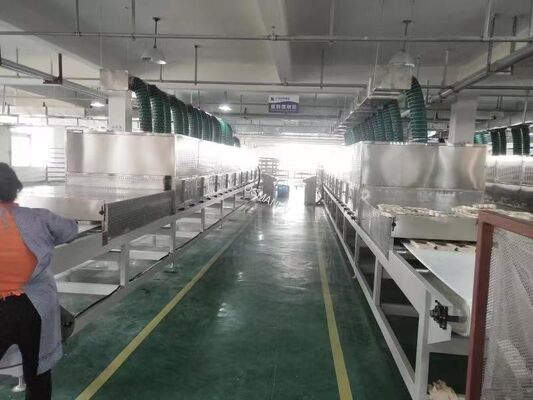 High Capacity Microwave Vacuum Dryer System - Customized 1-10T/h