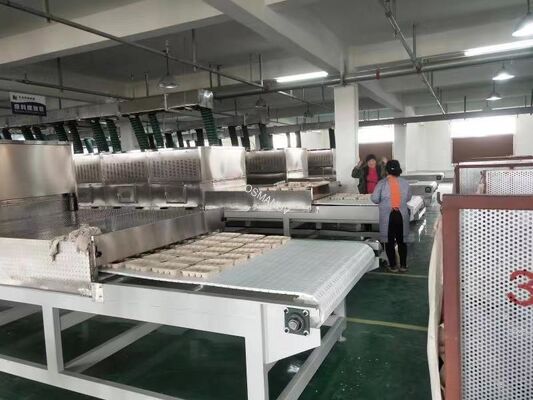 Customized Stainless Steel Microwave Vacuum Drying Equipment for Optimal Performance