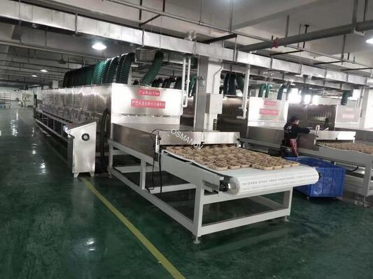 Linea di essiccazione industriale a microonde per alimenti ed erbe aromatiche – Design a tunnel continuo con potenza personalizzabile